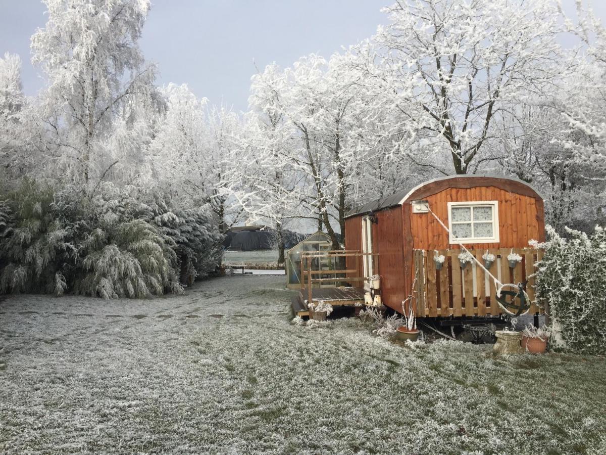 B&B Hetvrijdagsgevoel Sneek Esterno foto